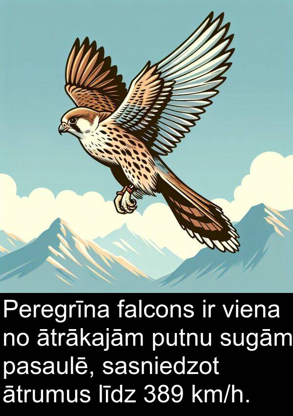 sasniedzot: Peregrīna falcons ir viena no ātrākajām putnu sugām pasaulē, sasniedzot ātrumus līdz 389 km/h.