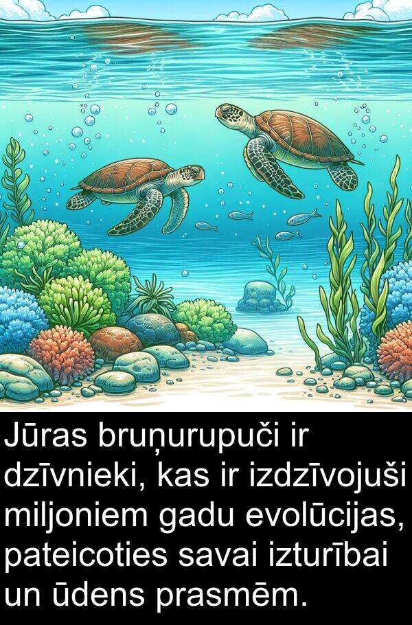 izdzīvojuši: Jūras bruņurupuči ir dzīvnieki, kas ir izdzīvojuši miljoniem gadu evolūcijas, pateicoties savai izturībai un ūdens prasmēm.