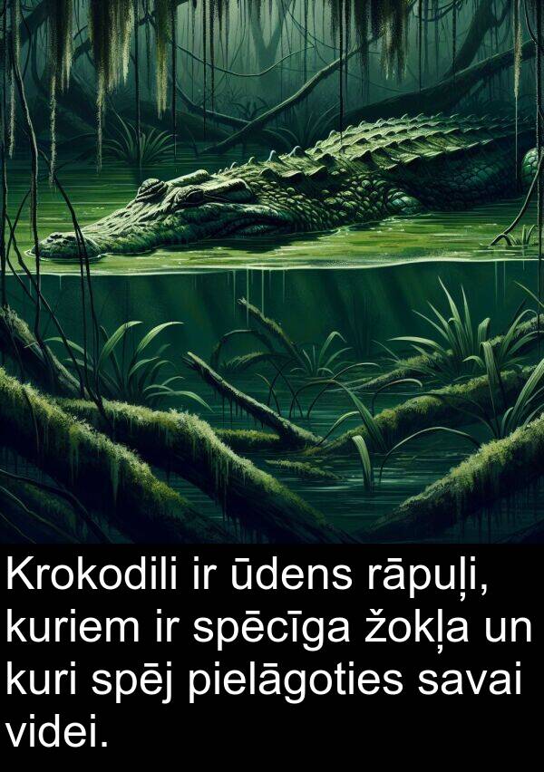 rāpuļi: Krokodili ir ūdens rāpuļi, kuriem ir spēcīga žokļa un kuri spēj pielāgoties savai videi.