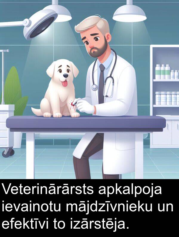 apkalpoja: Veterinārārsts apkalpoja ievainotu mājdzīvnieku un efektīvi to izārstēja.