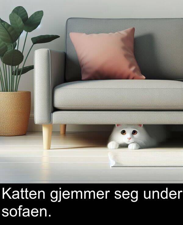 gjemmer: Katten gjemmer seg under sofaen.