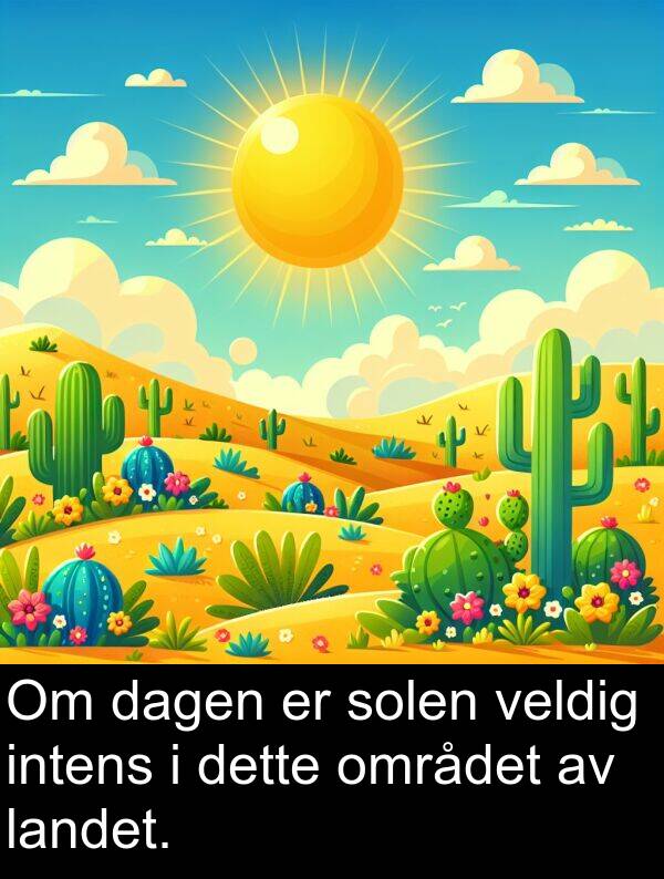 dette: Om dagen er solen veldig intens i dette området av landet.