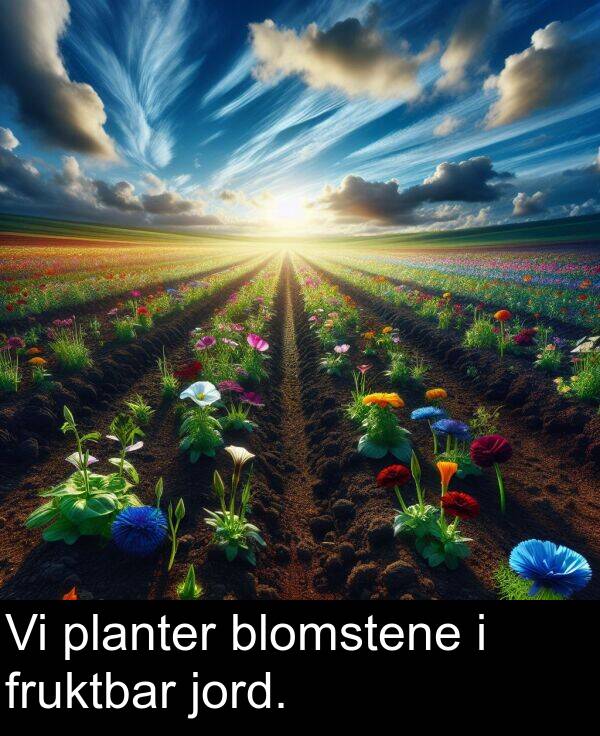 planter: Vi planter blomstene i fruktbar jord.