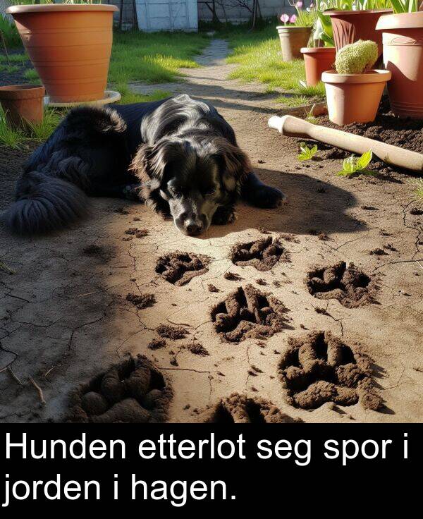 jorden: Hunden etterlot seg spor i jorden i hagen.