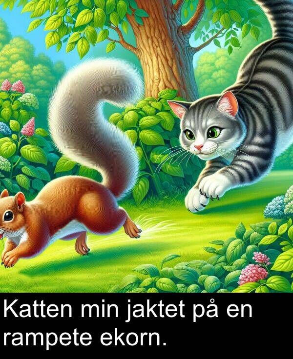 jaktet: Katten min jaktet på en rampete ekorn.