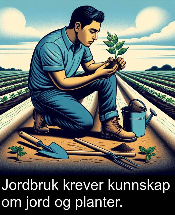 planter: Jordbruk krever kunnskap om jord og planter.