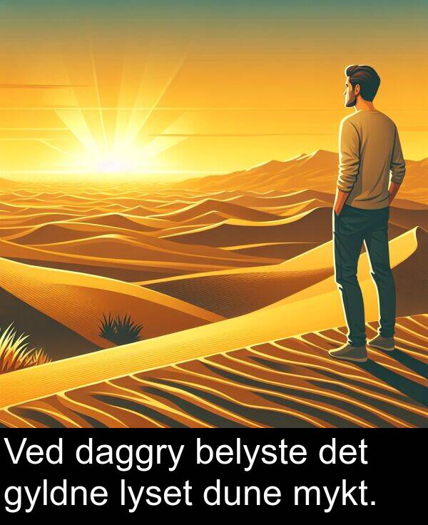 belyste: Ved daggry belyste det gyldne lyset dune mykt.