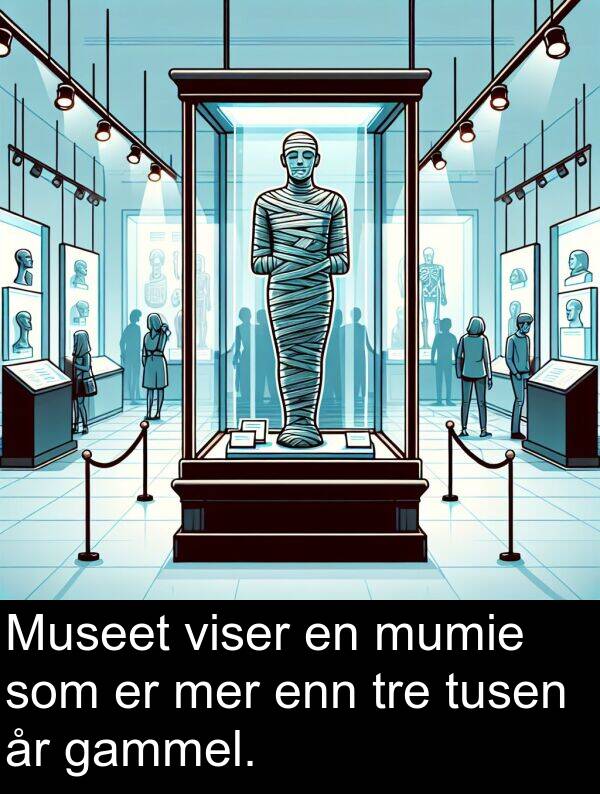 mer: Museet viser en mumie som er mer enn tre tusen år gammel.