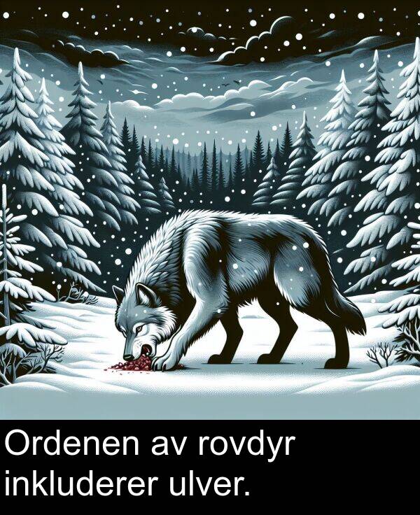 ulver: Ordenen av rovdyr inkluderer ulver.