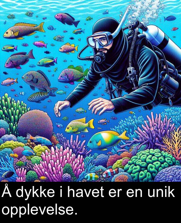 dykke: Å dykke i havet er en unik opplevelse.