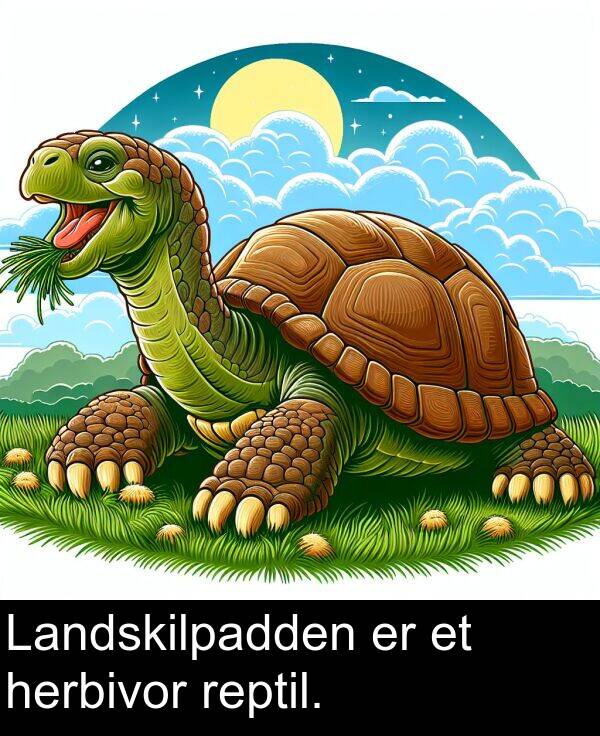 herbivor: Landskilpadden er et herbivor reptil.