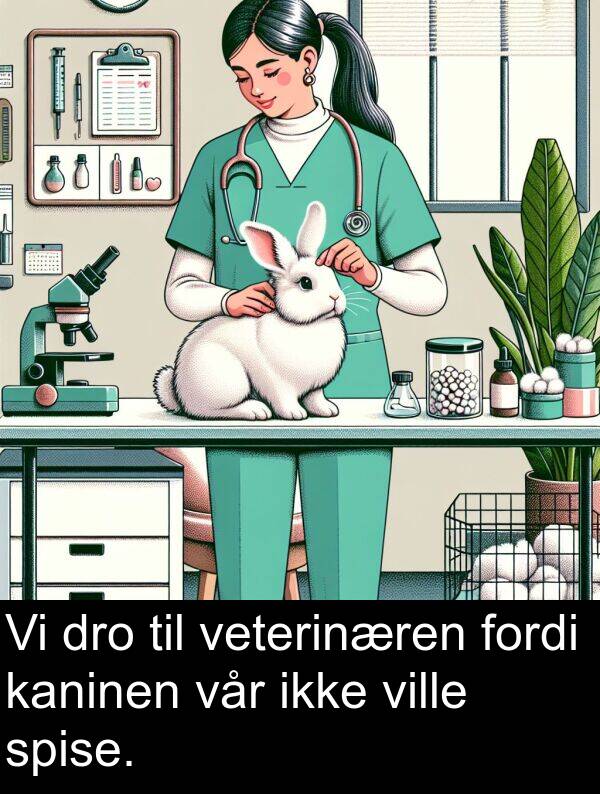 dro: Vi dro til veterinæren fordi kaninen vår ikke ville spise.