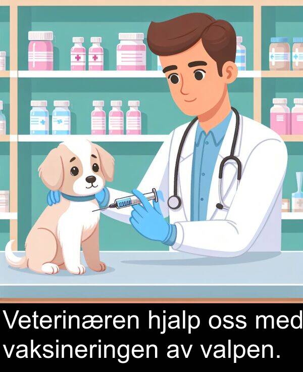 valpen: Veterinæren hjalp oss med vaksineringen av valpen.