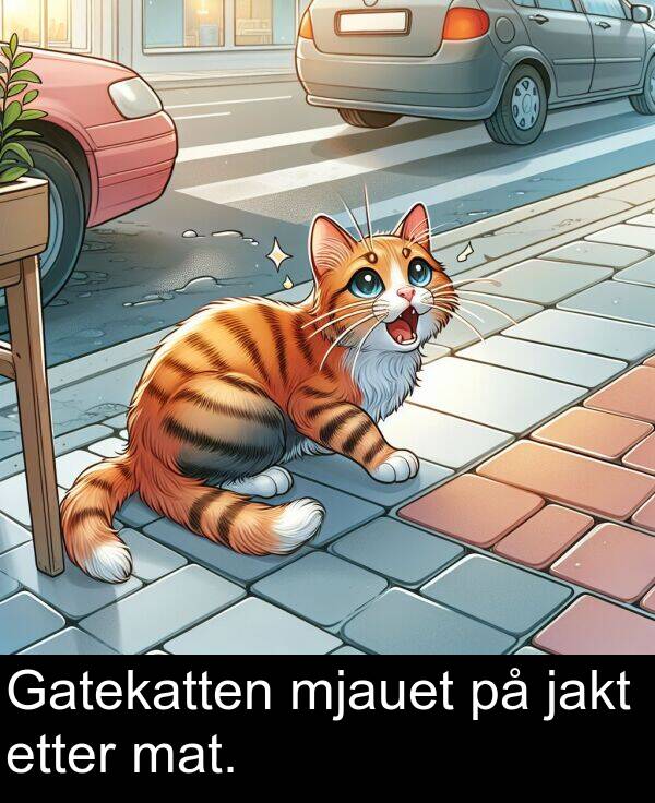 jakt: Gatekatten mjauet på jakt etter mat.