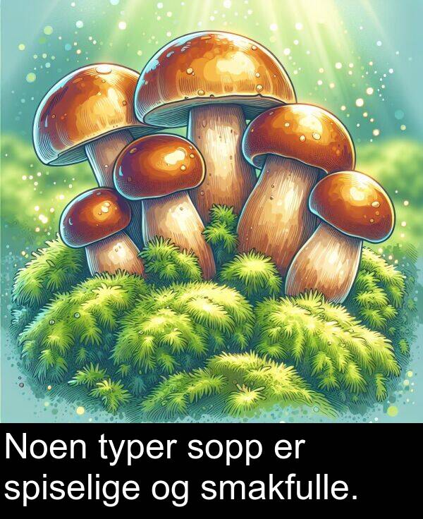 spiselige: Noen typer sopp er spiselige og smakfulle.