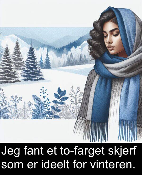 ideelt: Jeg fant et to-farget skjerf som er ideelt for vinteren.