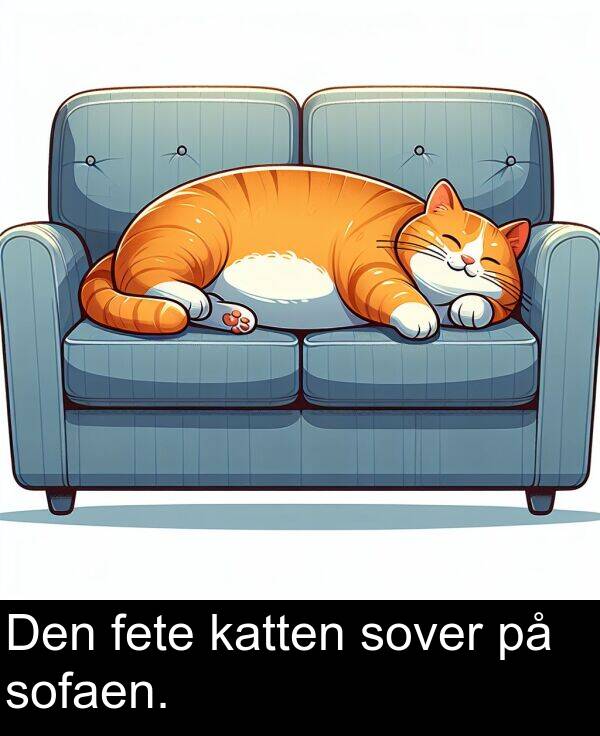 katten: Den fete katten sover på sofaen.