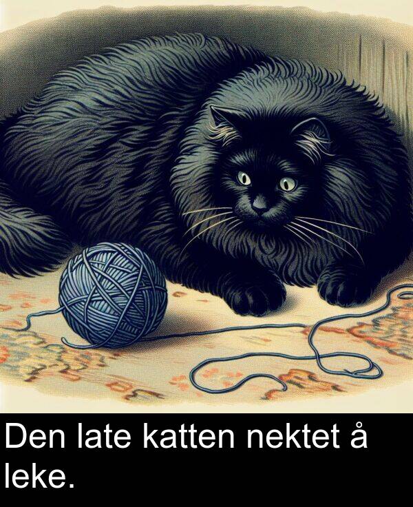 nektet: Den late katten nektet å leke.