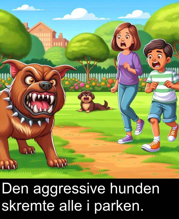 parken: Den aggressive hunden skremte alle i parken.