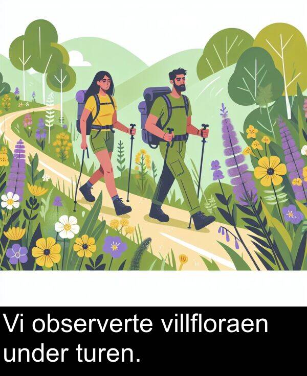 observerte: Vi observerte villfloraen under turen.