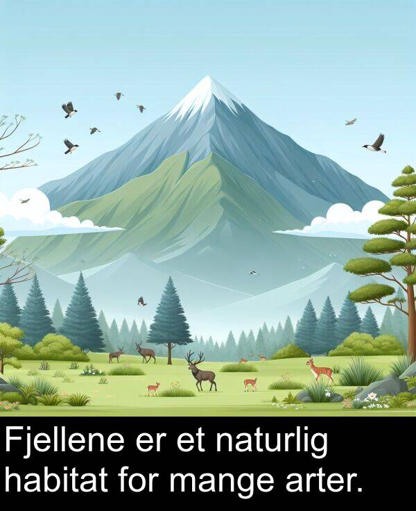 habitat: Fjellene er et naturlig habitat for mange arter.