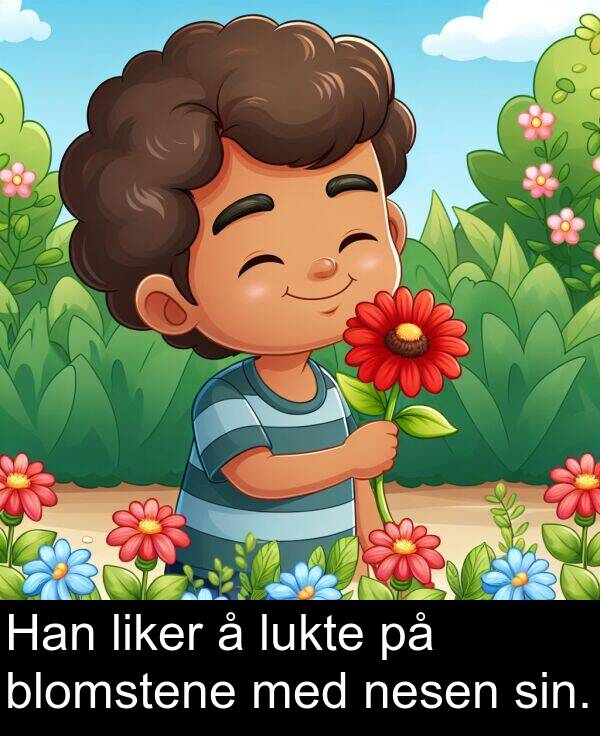 nesen: Han liker å lukte på blomstene med nesen sin.