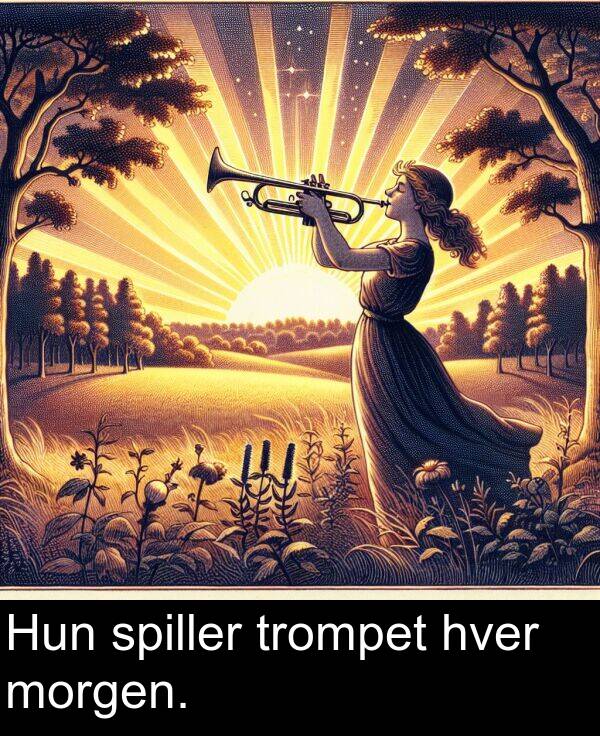 hver: Hun spiller trompet hver morgen.