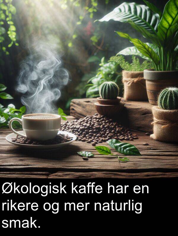 mer: Økologisk kaffe har en rikere og mer naturlig smak.