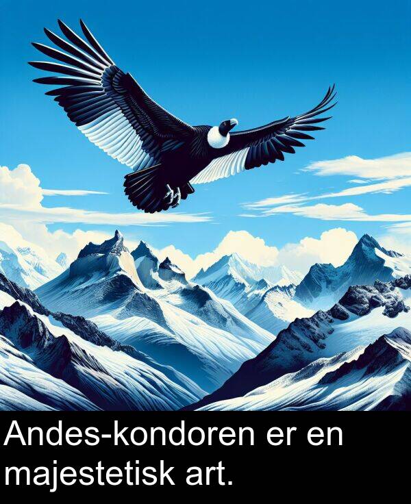 majestetisk: Andes-kondoren er en majestetisk art.