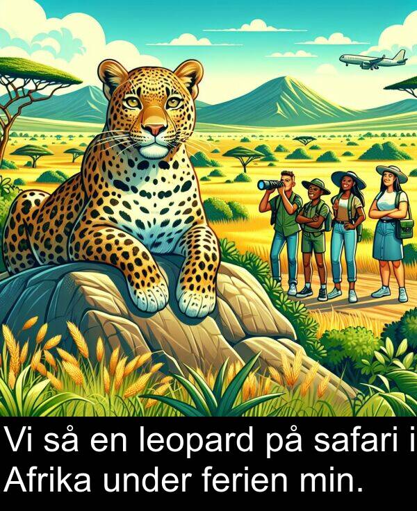 safari: Vi så en leopard på safari i Afrika under ferien min.