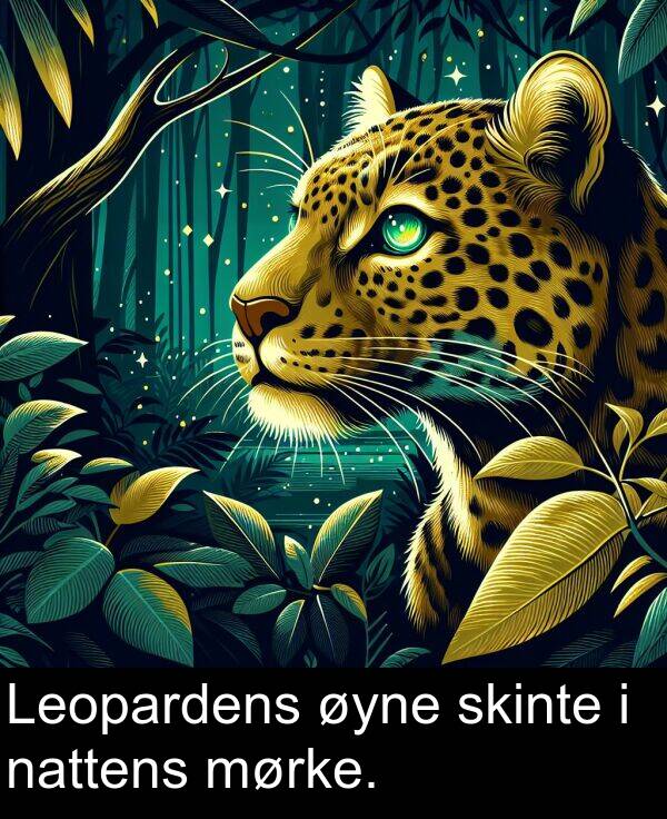 øyne: Leopardens øyne skinte i nattens mørke.