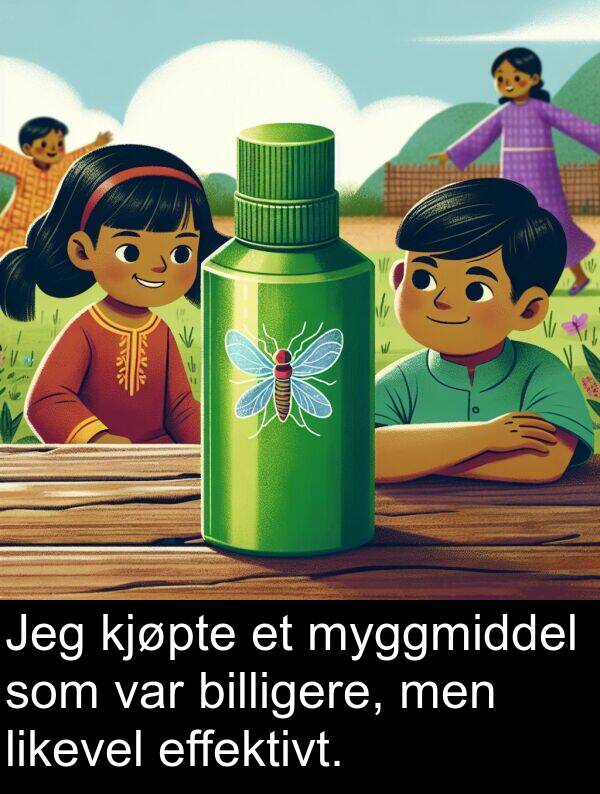 effektivt: Jeg kjøpte et myggmiddel som var billigere, men likevel effektivt.