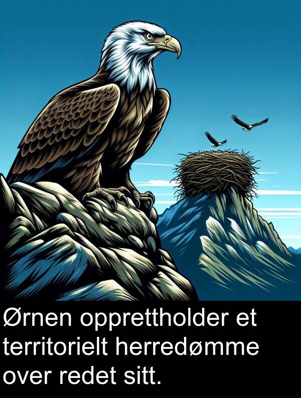 opprettholder: Ørnen opprettholder et territorielt herredømme over redet sitt.