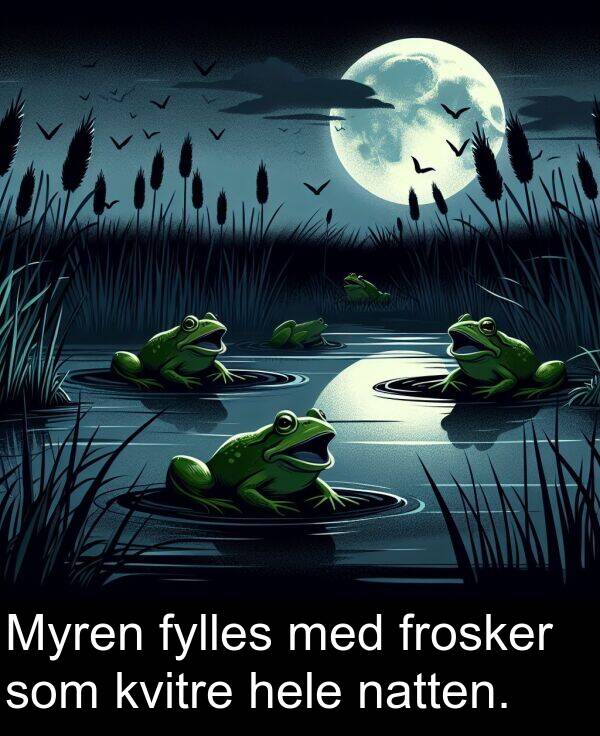 hele: Myren fylles med frosker som kvitre hele natten.