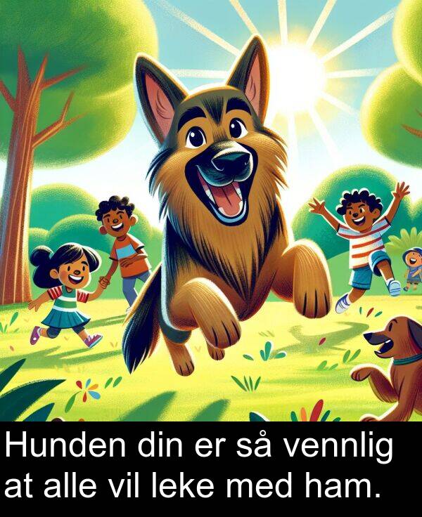 vennlig: Hunden din er så vennlig at alle vil leke med ham.