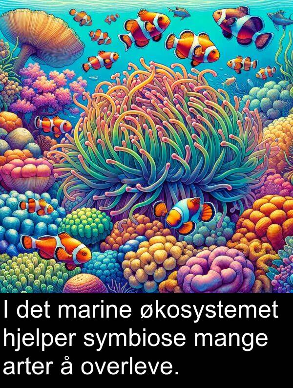 marine: I det marine økosystemet hjelper symbiose mange arter å overleve.