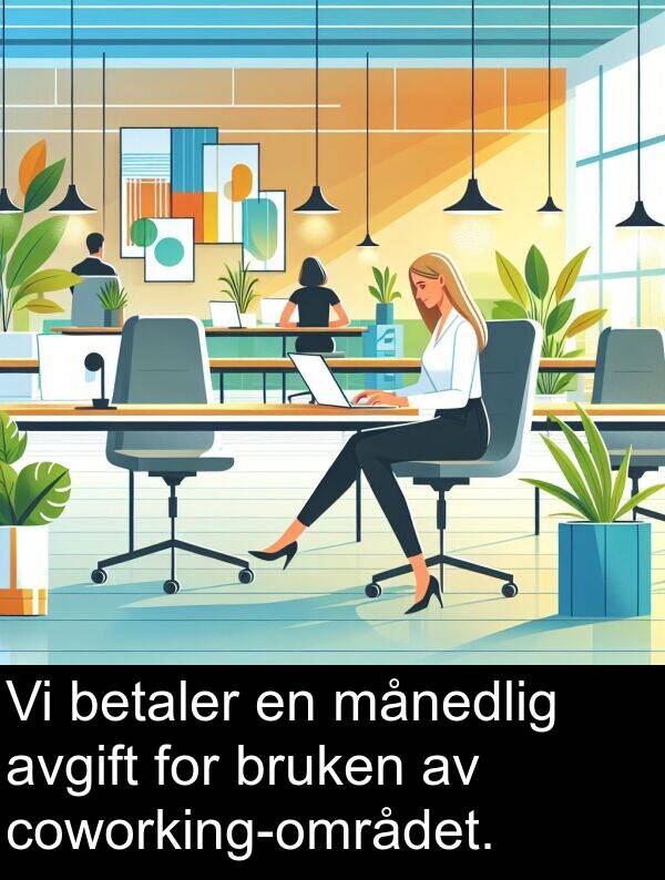 betaler: Vi betaler en månedlig avgift for bruken av coworking-området.