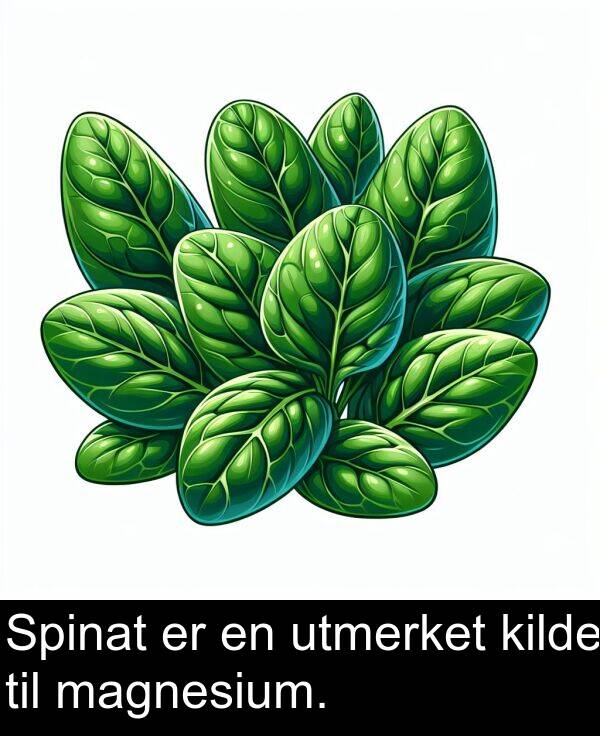 magnesium: Spinat er en utmerket kilde til magnesium.