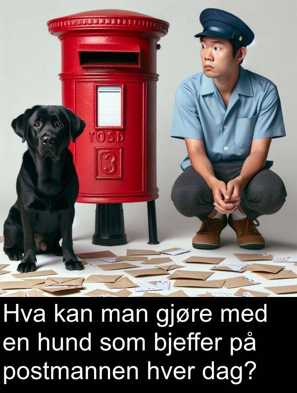 dag: Hva kan man gjøre med en hund som bjeffer på postmannen hver dag?