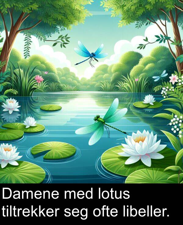 ofte: Damene med lotus tiltrekker seg ofte libeller.