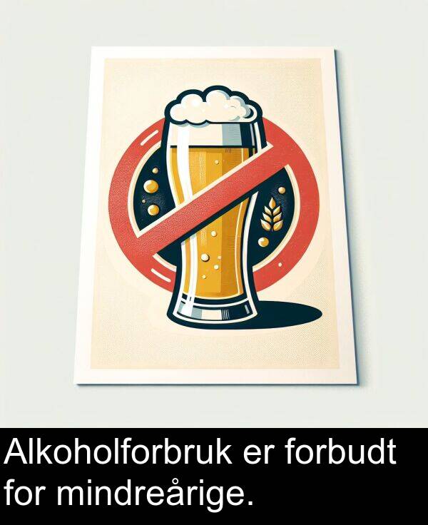 forbudt: Alkoholforbruk er forbudt for mindreårige.