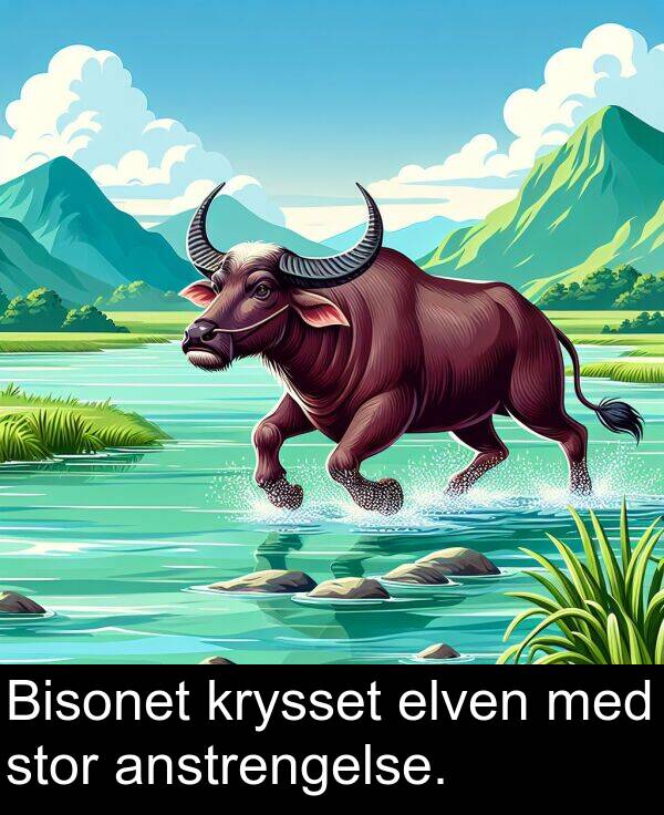 elven: Bisonet krysset elven med stor anstrengelse.