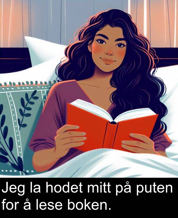 hodet: Jeg la hodet mitt på puten for å lese boken.