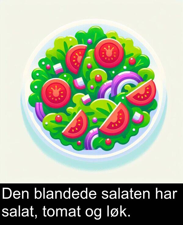 salat: Den blandede salaten har salat, tomat og løk.