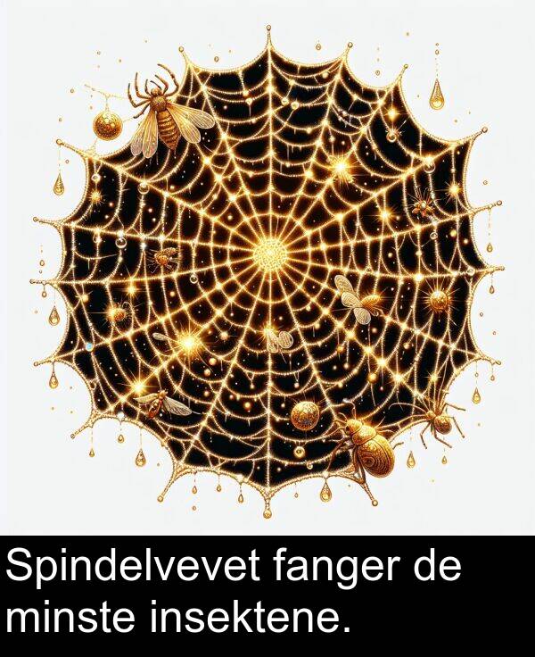 fanger: Spindelvevet fanger de minste insektene.