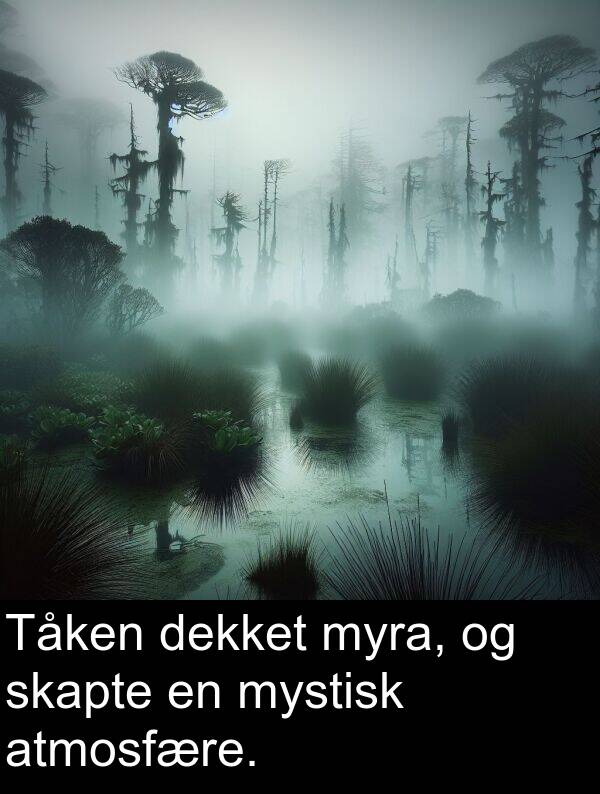 dekket: Tåken dekket myra, og skapte en mystisk atmosfære.