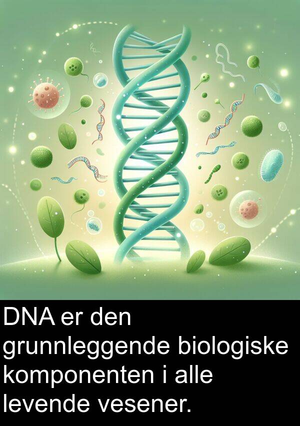 vesener: DNA er den grunnleggende biologiske komponenten i alle levende vesener.