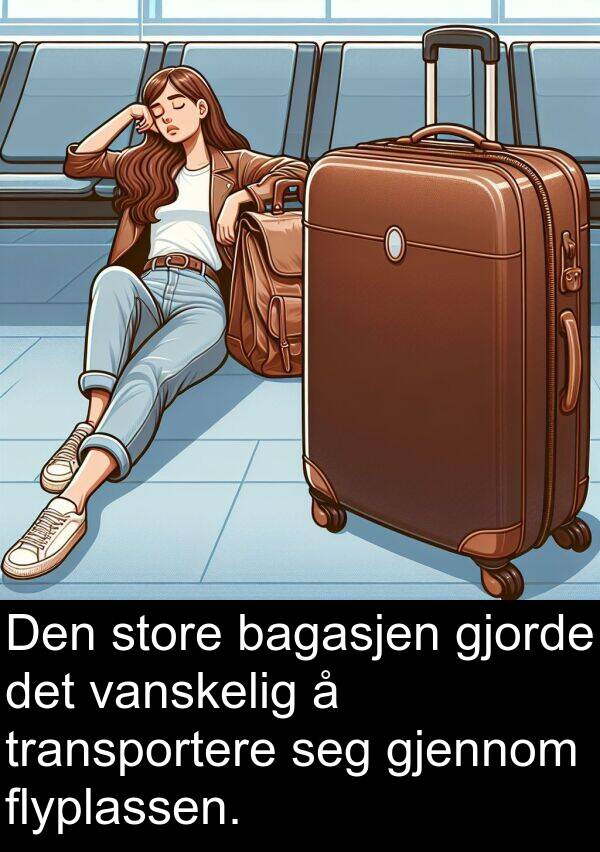 bagasjen: Den store bagasjen gjorde det vanskelig å transportere seg gjennom flyplassen.