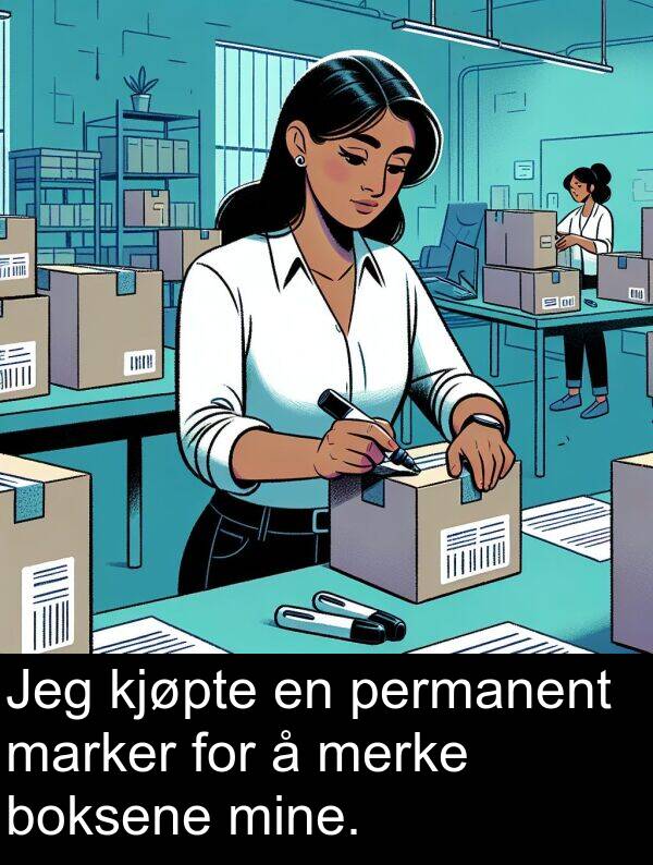 permanent: Jeg kjøpte en permanent marker for å merke boksene mine.