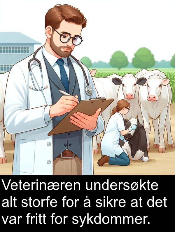 sikre: Veterinæren undersøkte alt storfe for å sikre at det var fritt for sykdommer.